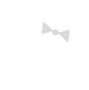 Dazzling Doggie Duvet