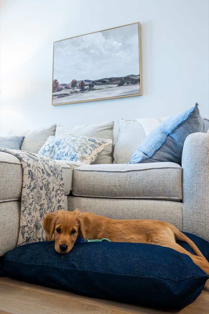 Sunday vibes on the Classic Denim — he claimed it day one!